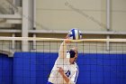 Volleyball vs RWU  Wheaton Women’s Volleyball vs Roger Williams University. : Volleyball, VB